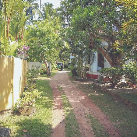 Hikka Surf Hostel Hikkaduwa Bagian luar foto