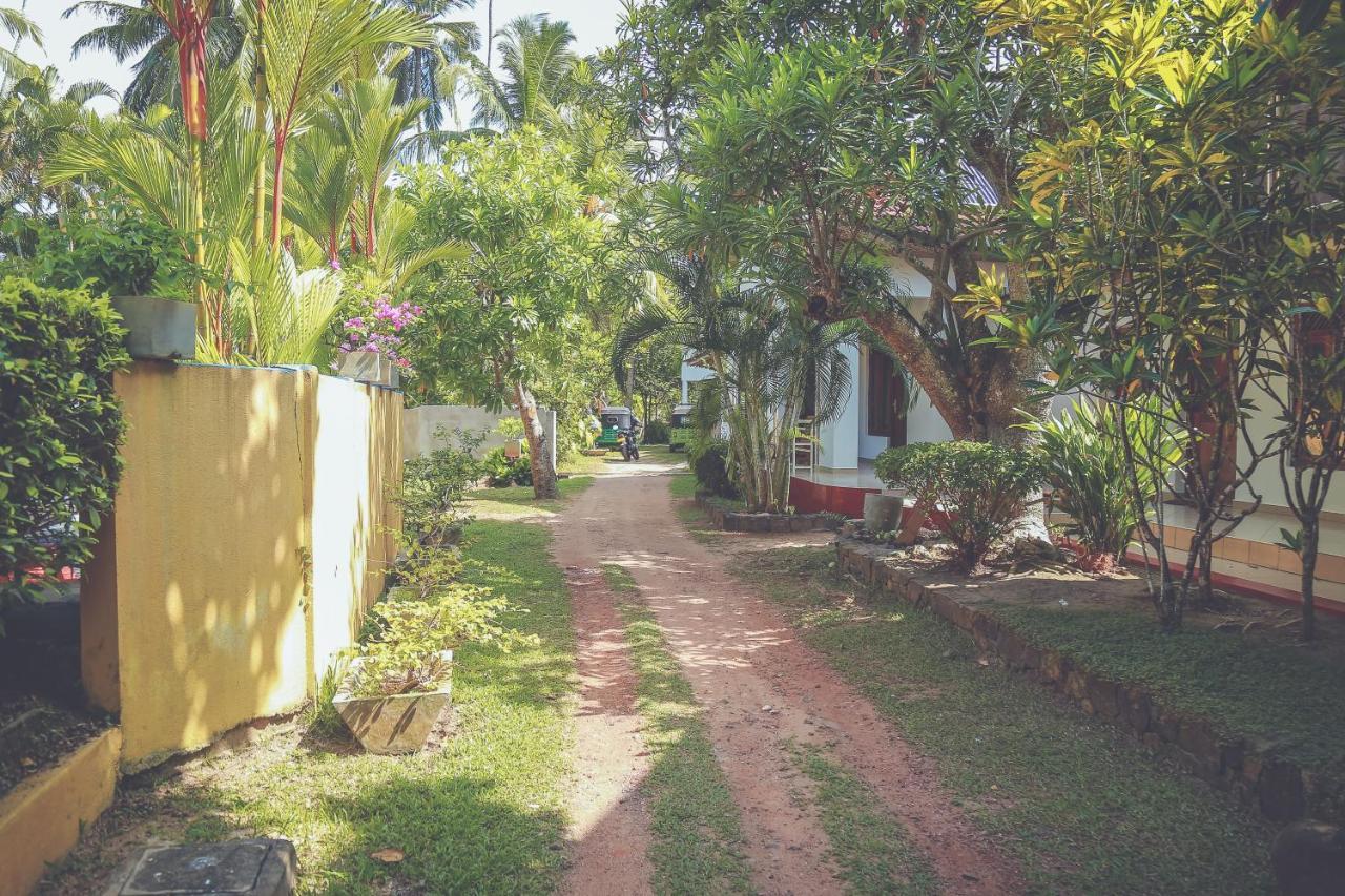 Hikka Surf Hostel Hikkaduwa Bagian luar foto